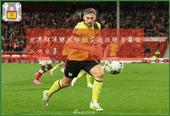 世界杯滚球买球的实战技巧与最佳入口分享