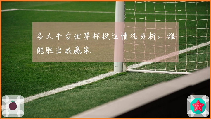 各大平台世界杯投注情况分析，谁能胜出成赢家