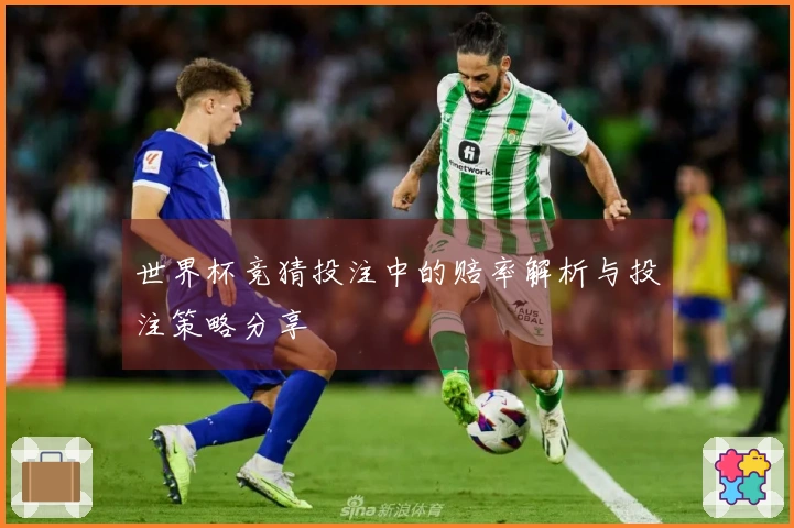 世界杯竞猜投注中的赔率解析与投注策略分享